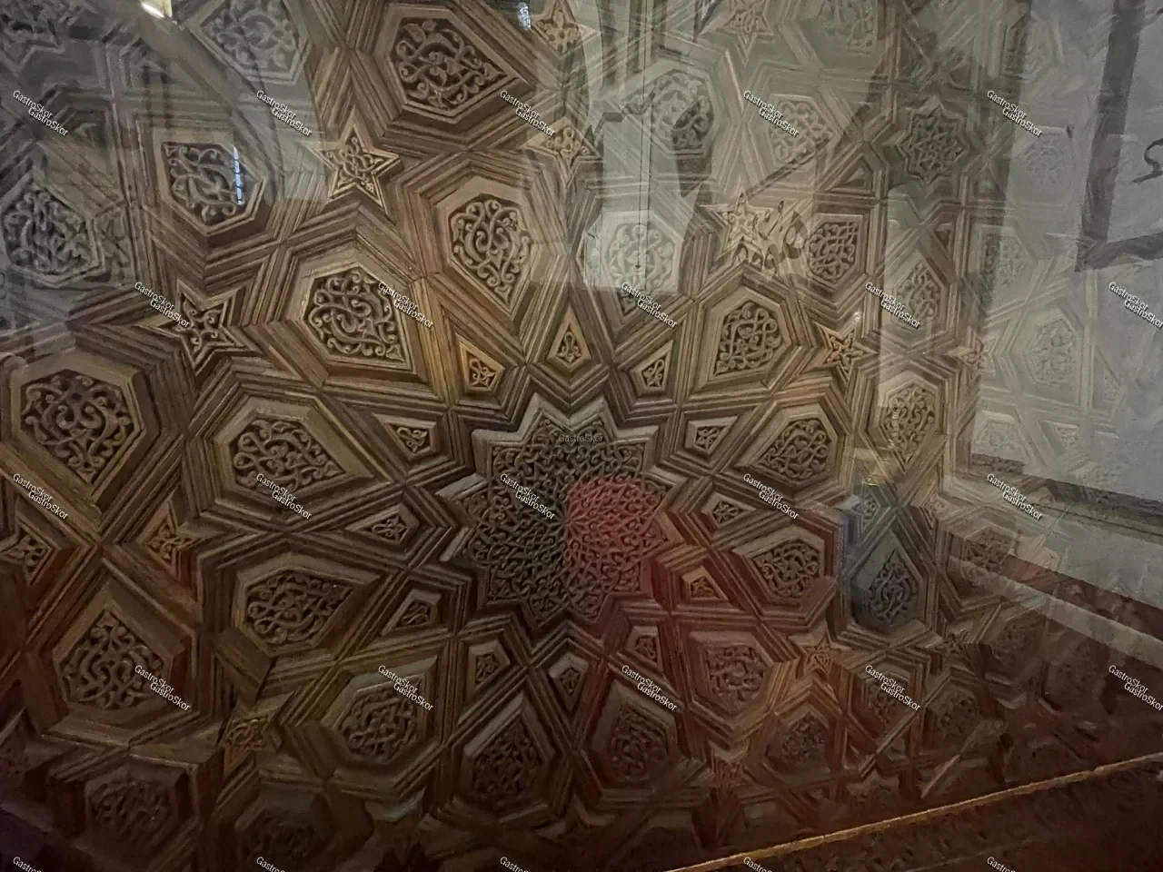 Mantar fotoğrafı