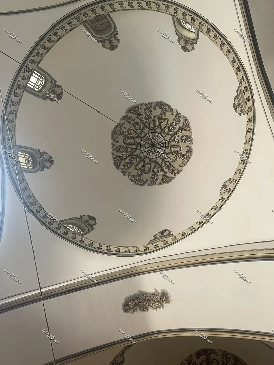 Mantar fotoğrafı