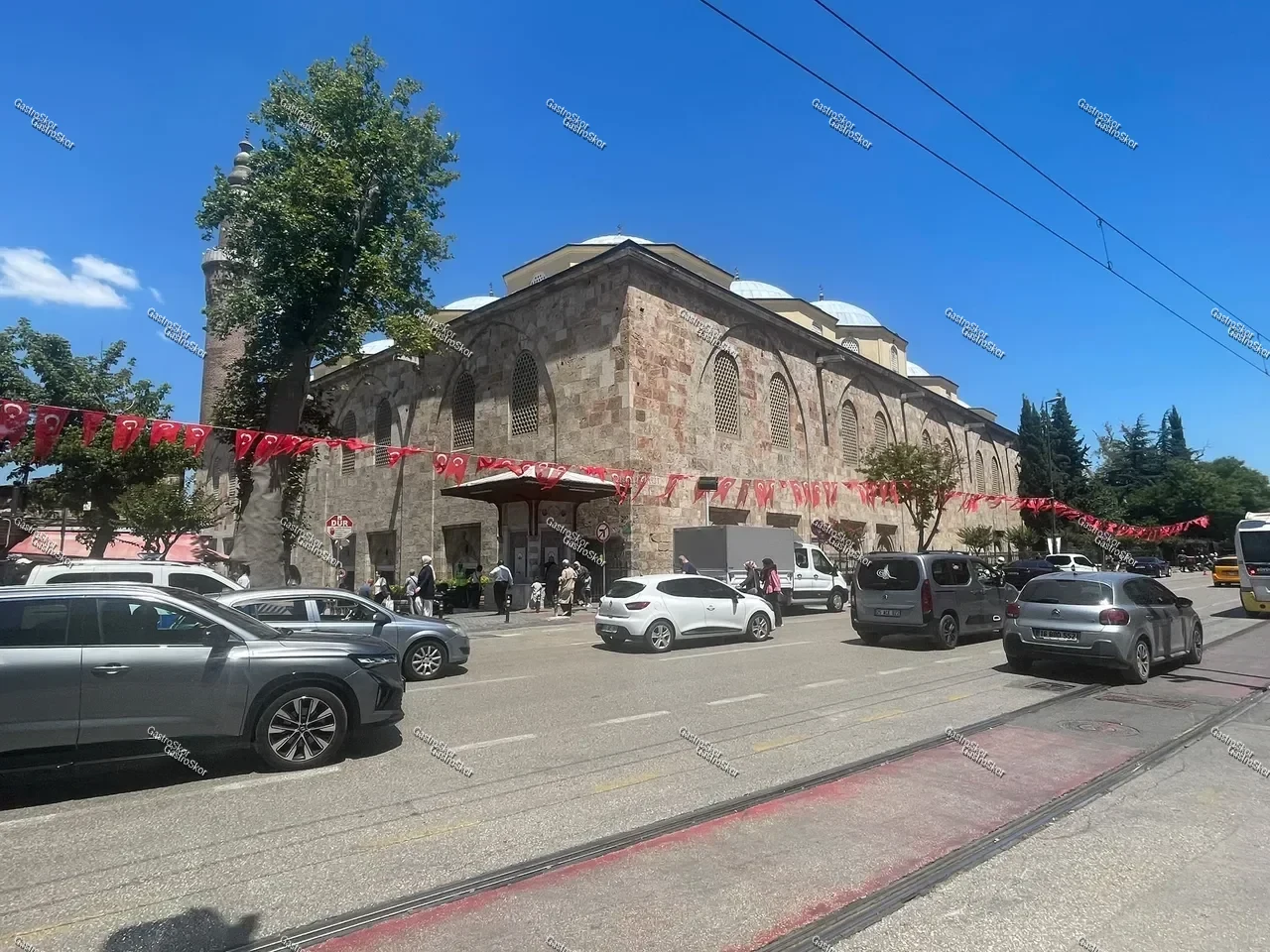 Mantar fotoğrafı
