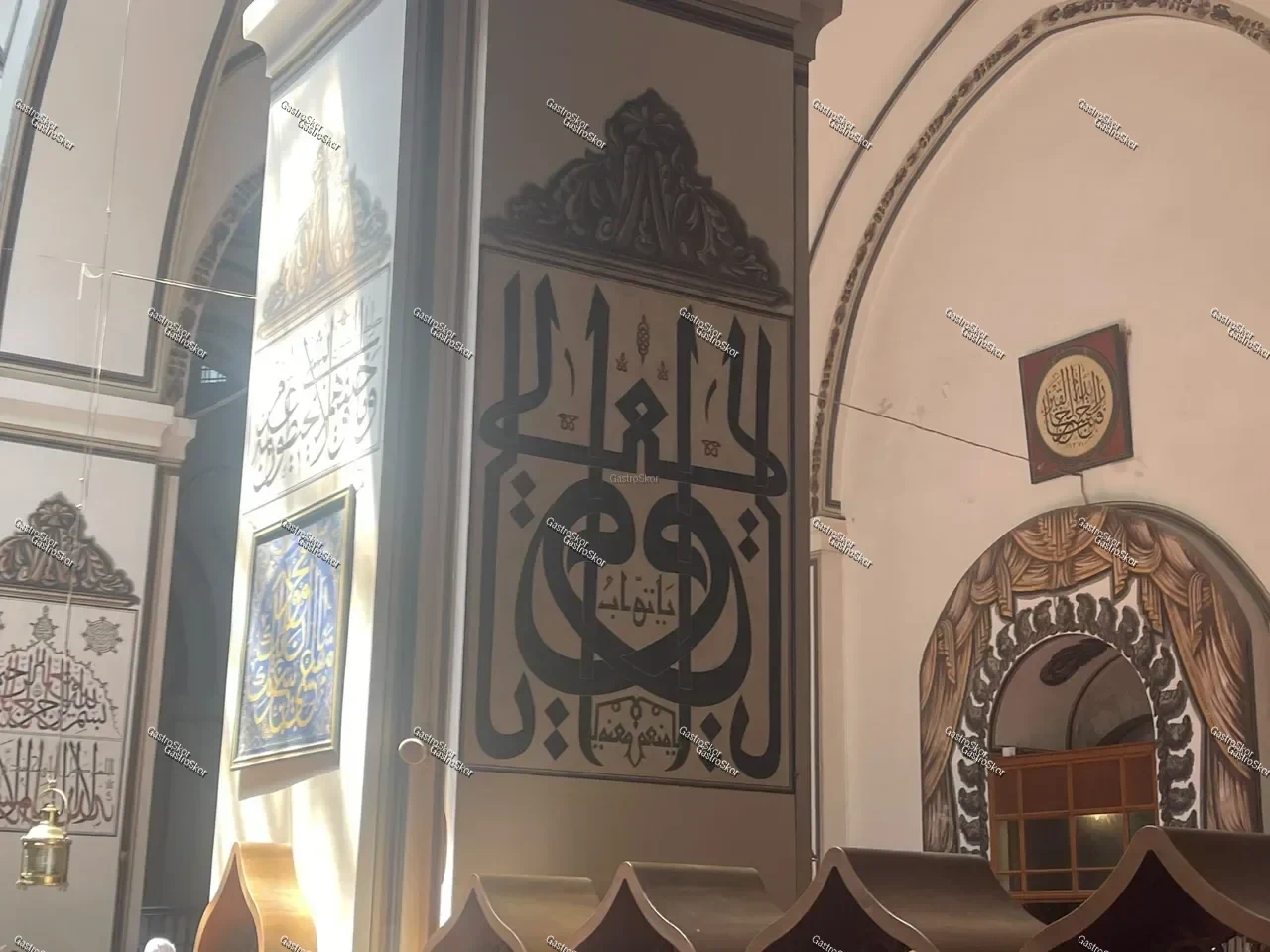 Mantar fotoğrafı
