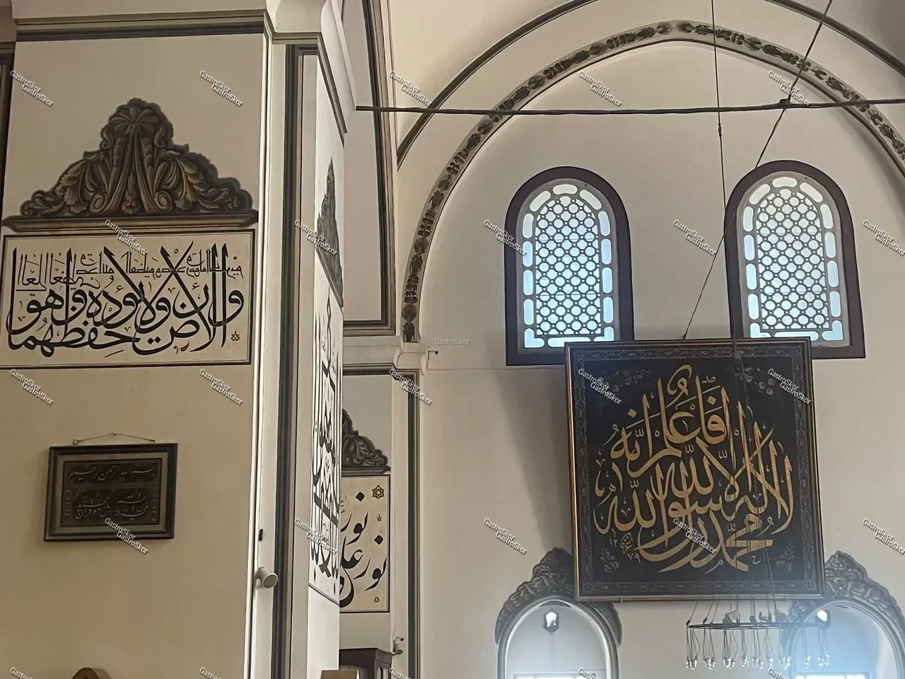 Mantar fotoğrafı