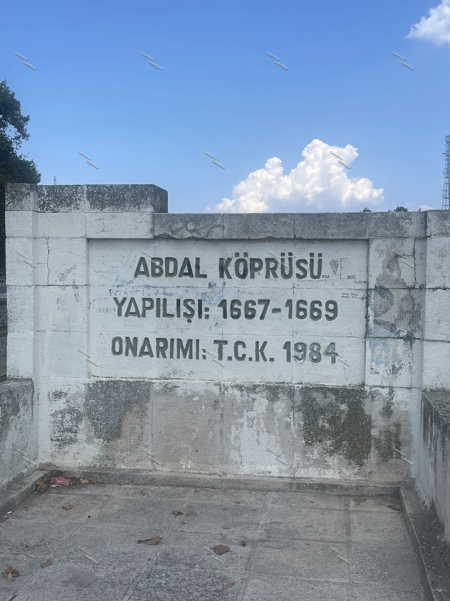 Mantar fotoğrafı
