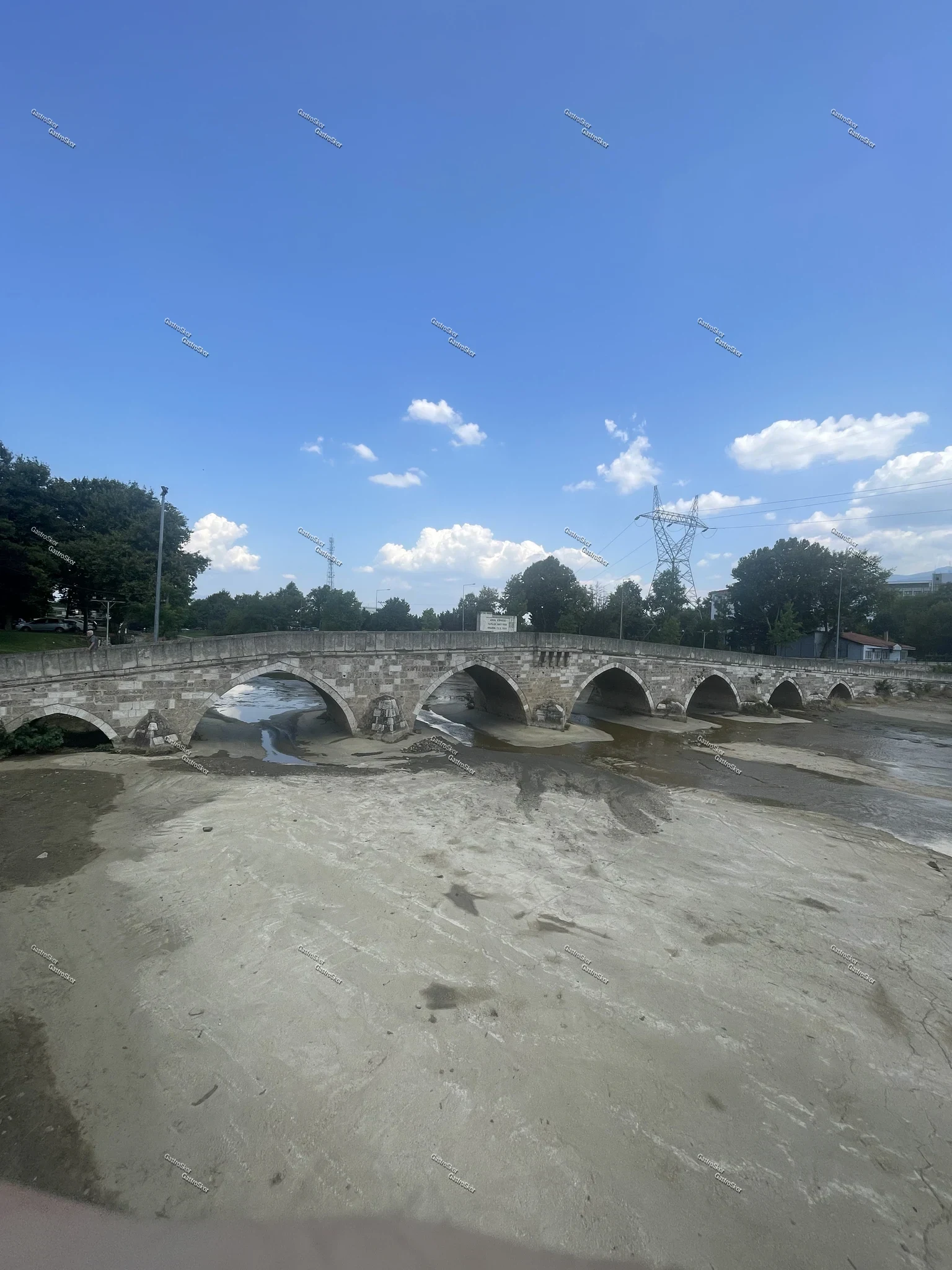 Mantar fotoğrafı