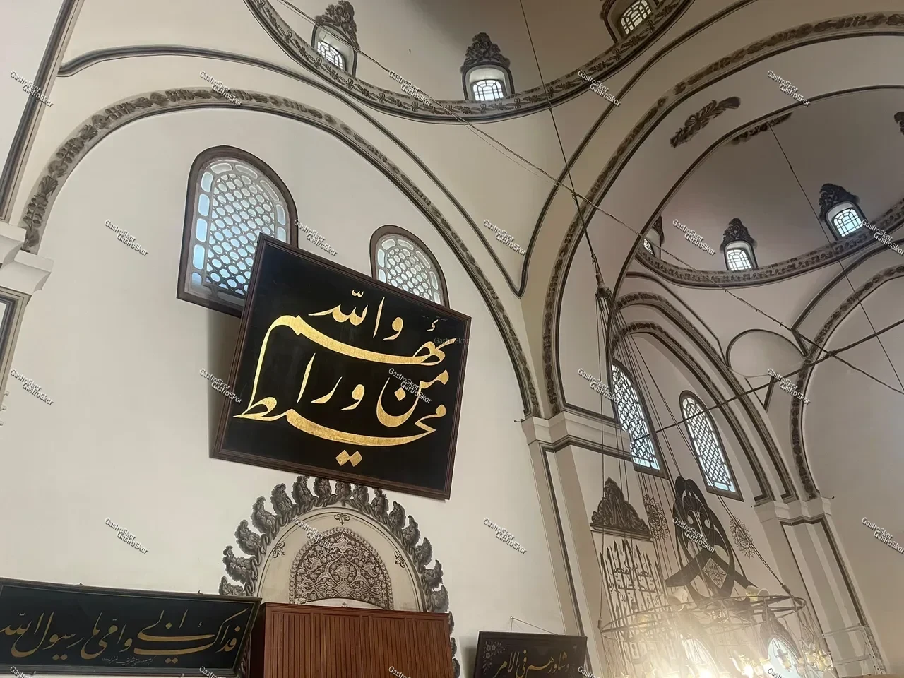 Mantar fotoğrafı