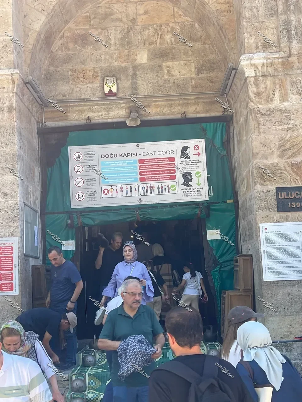 Mantar fotoğrafı