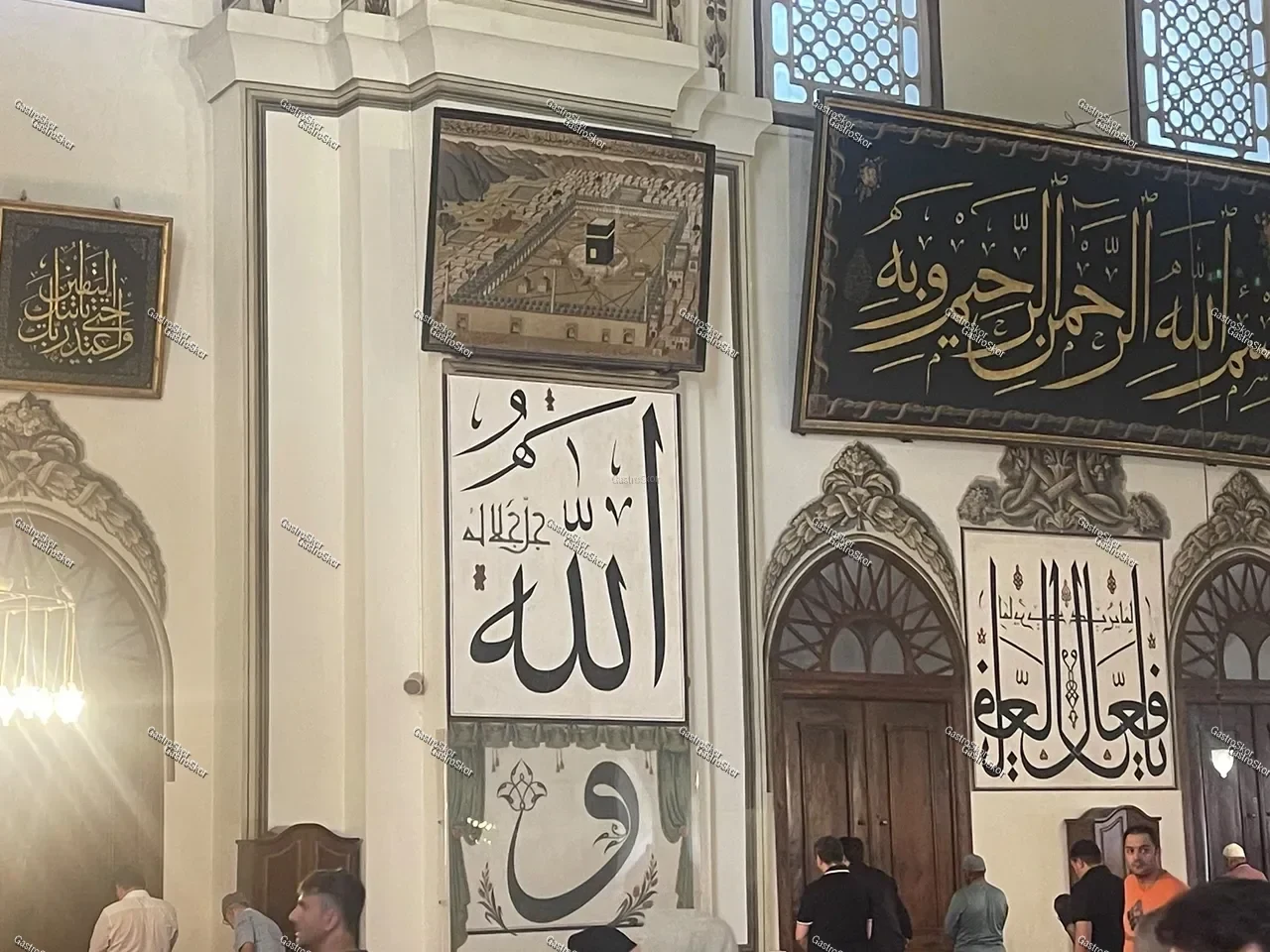 Mantar fotoğrafı