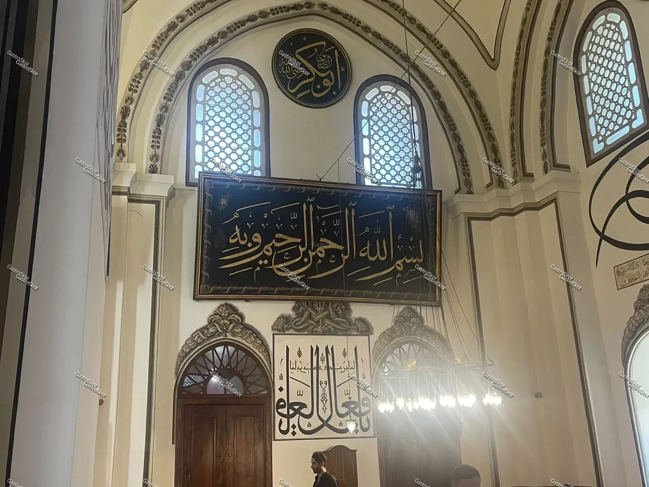 Mantar fotoğrafı