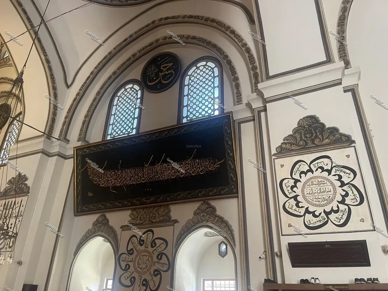 Mantar fotoğrafı