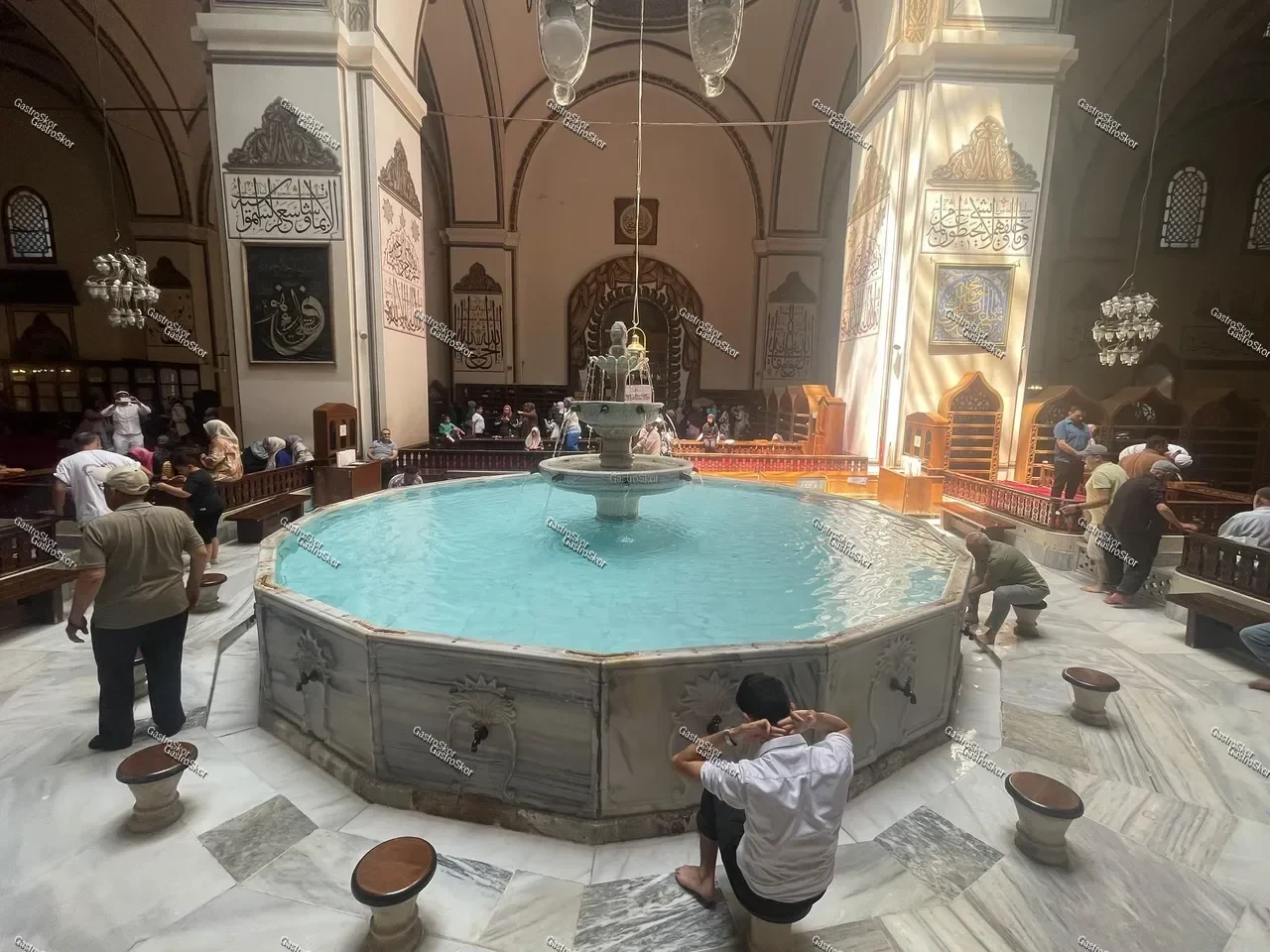 Mantar fotoğrafı