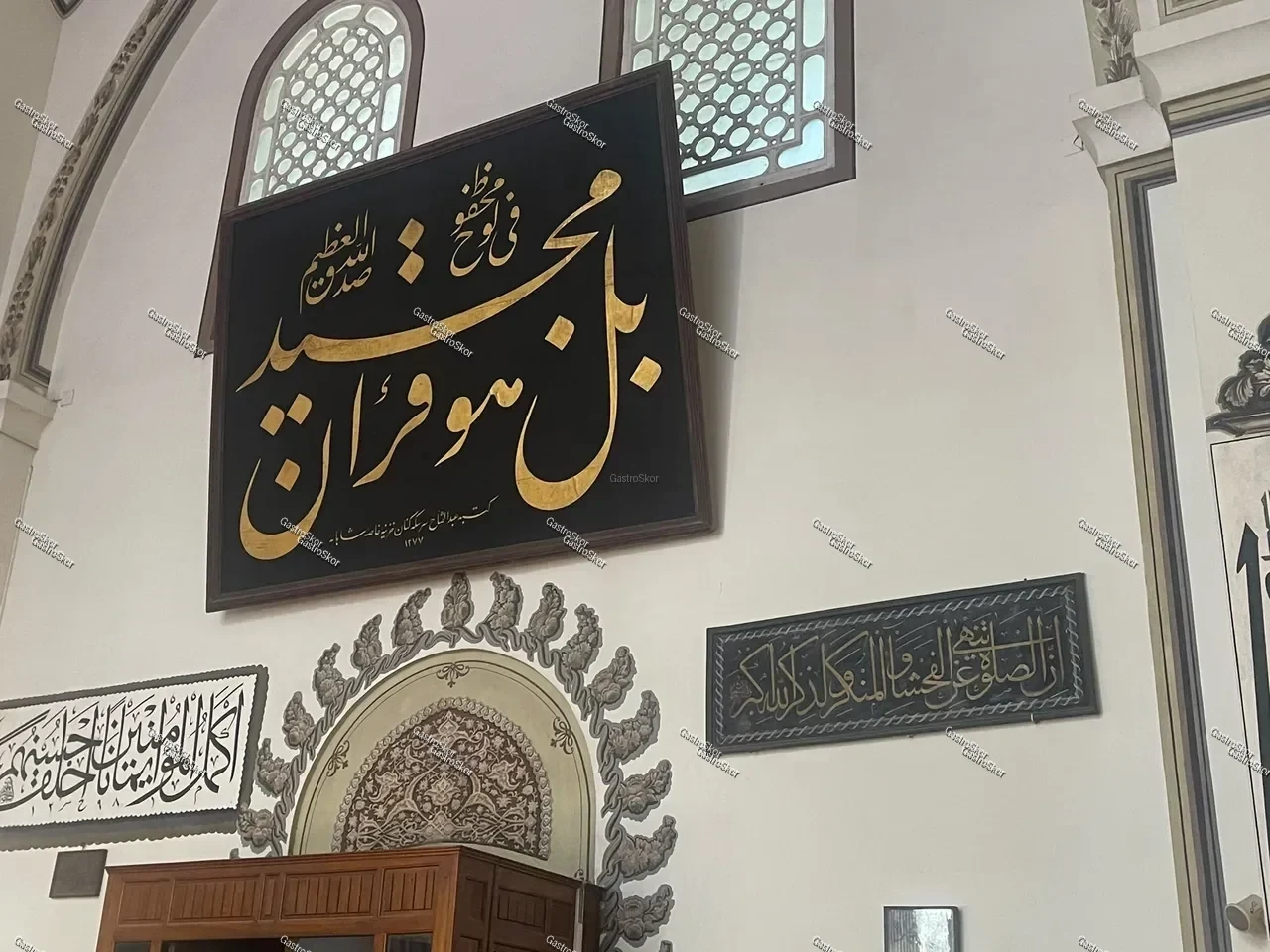 Mantar fotoğrafı