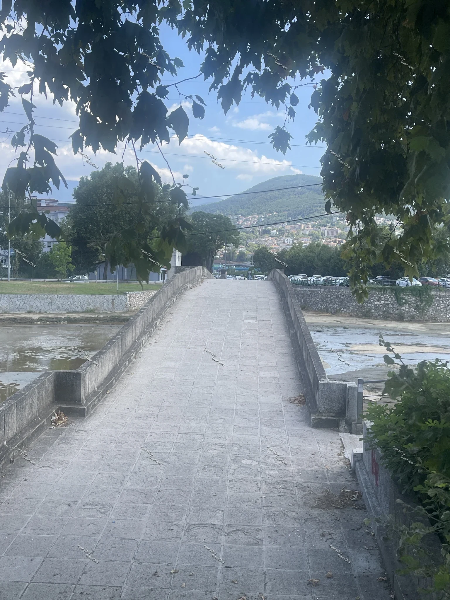 Mantar fotoğrafı