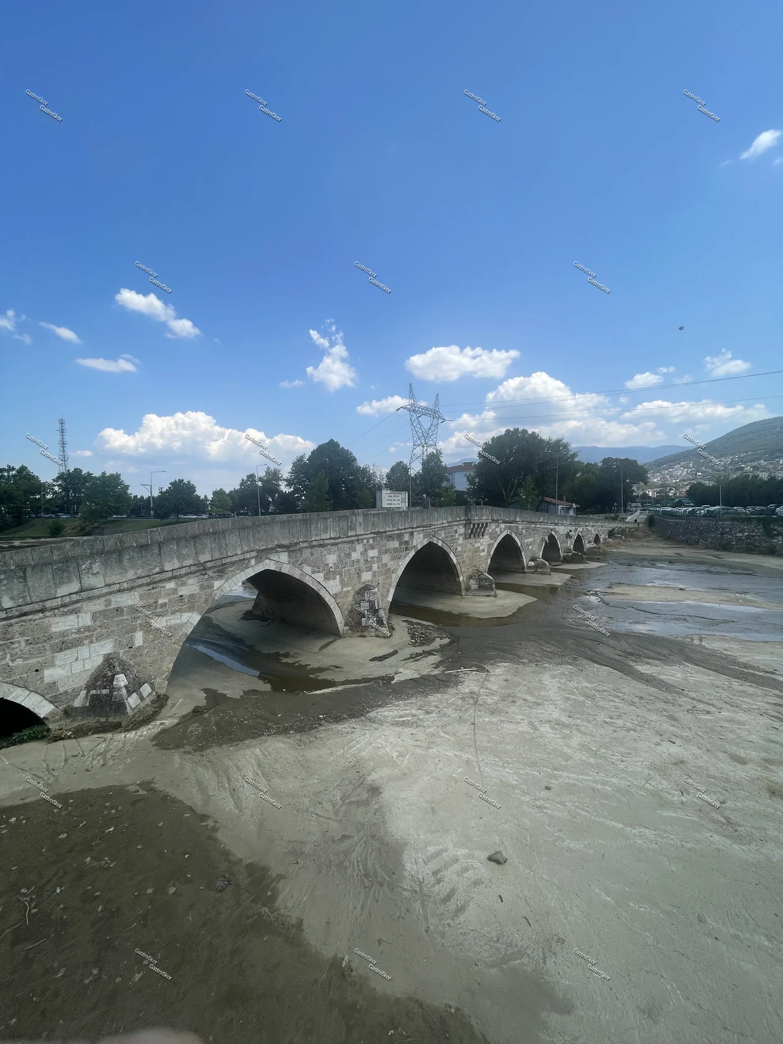 Mantar fotoğrafı