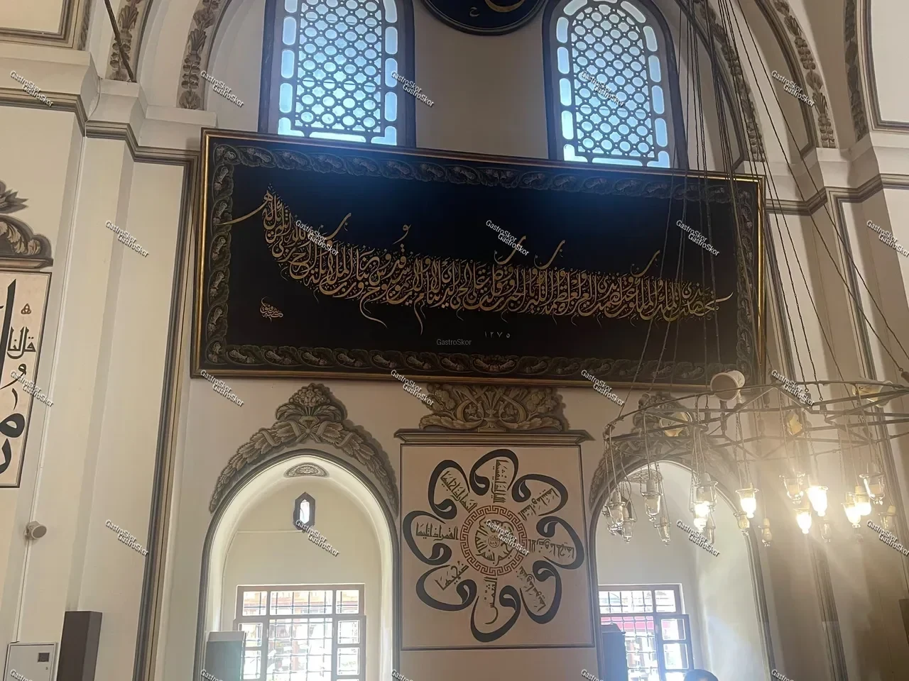 Mantar fotoğrafı