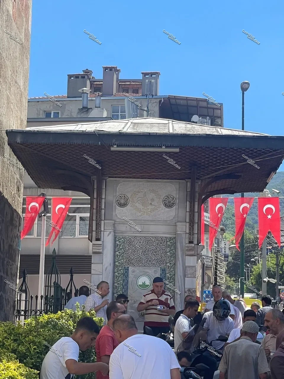 Mantar fotoğrafı