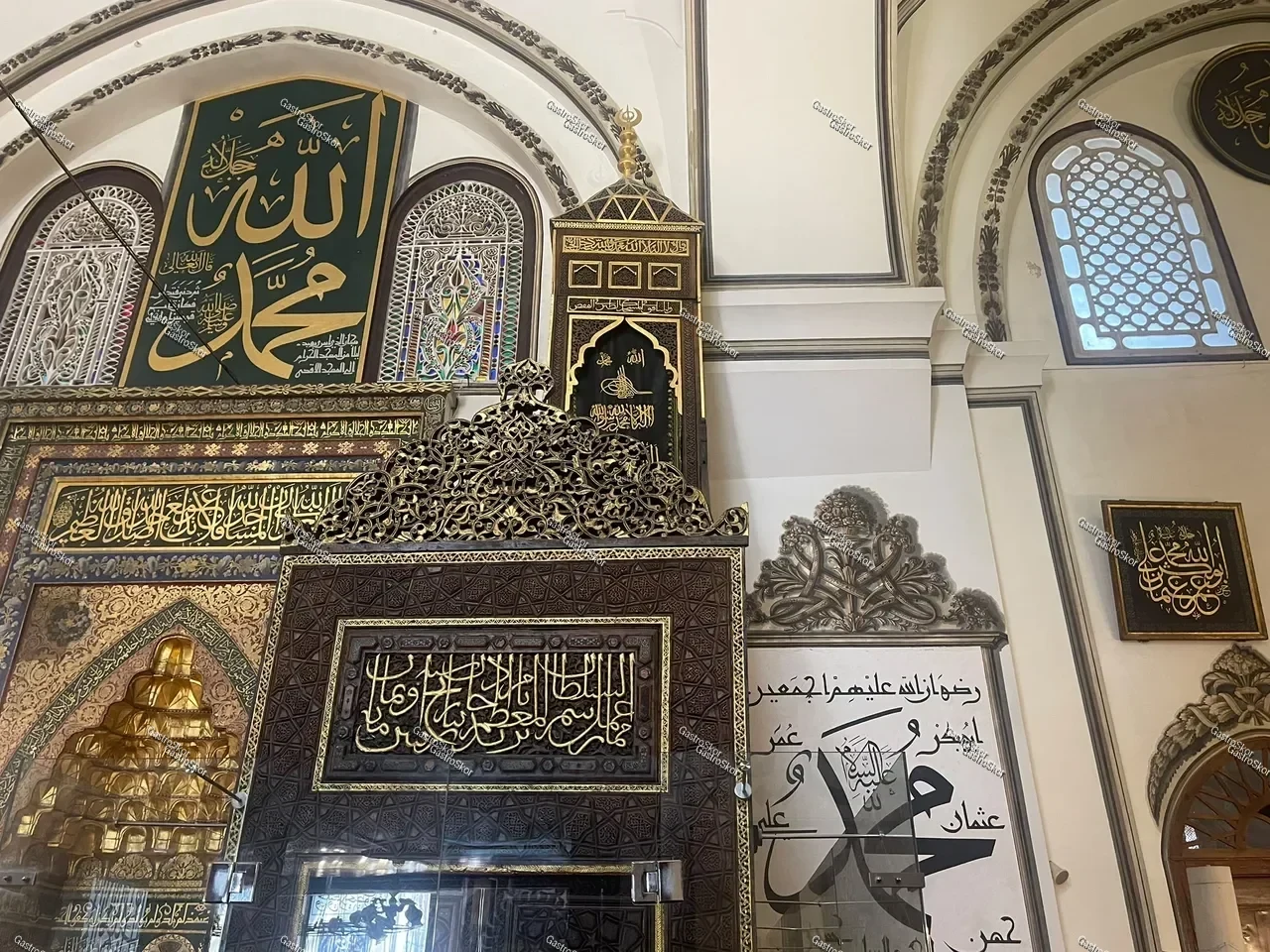 Mantar fotoğrafı