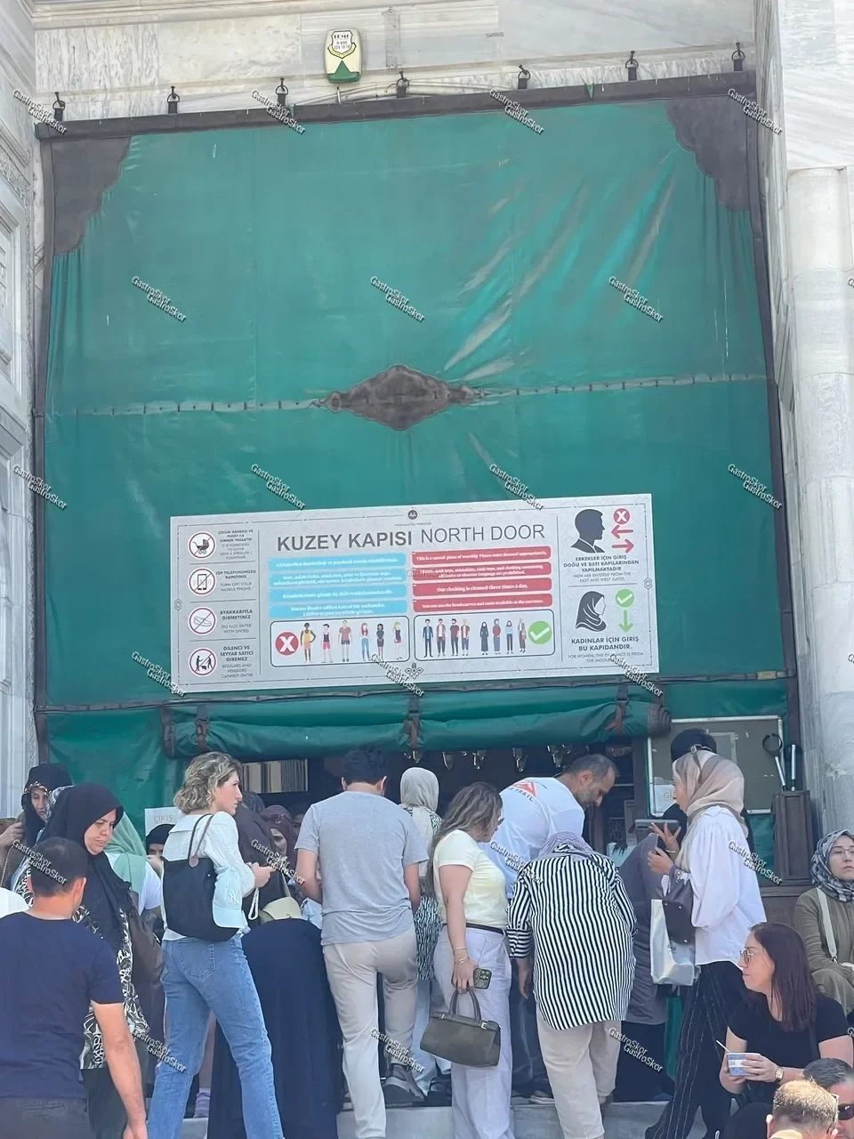 Mantar fotoğrafı