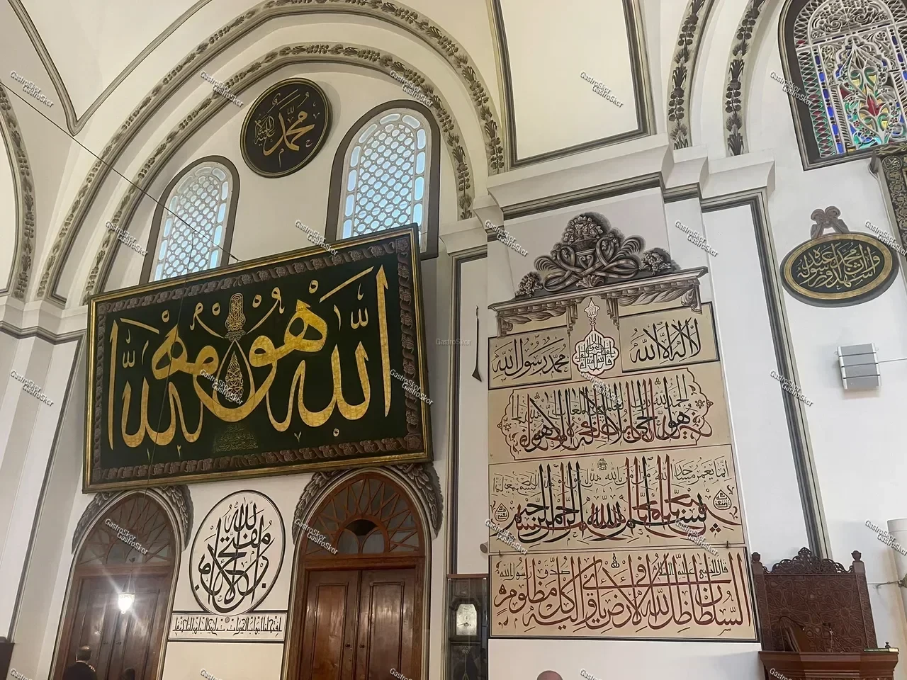 Mantar fotoğrafı