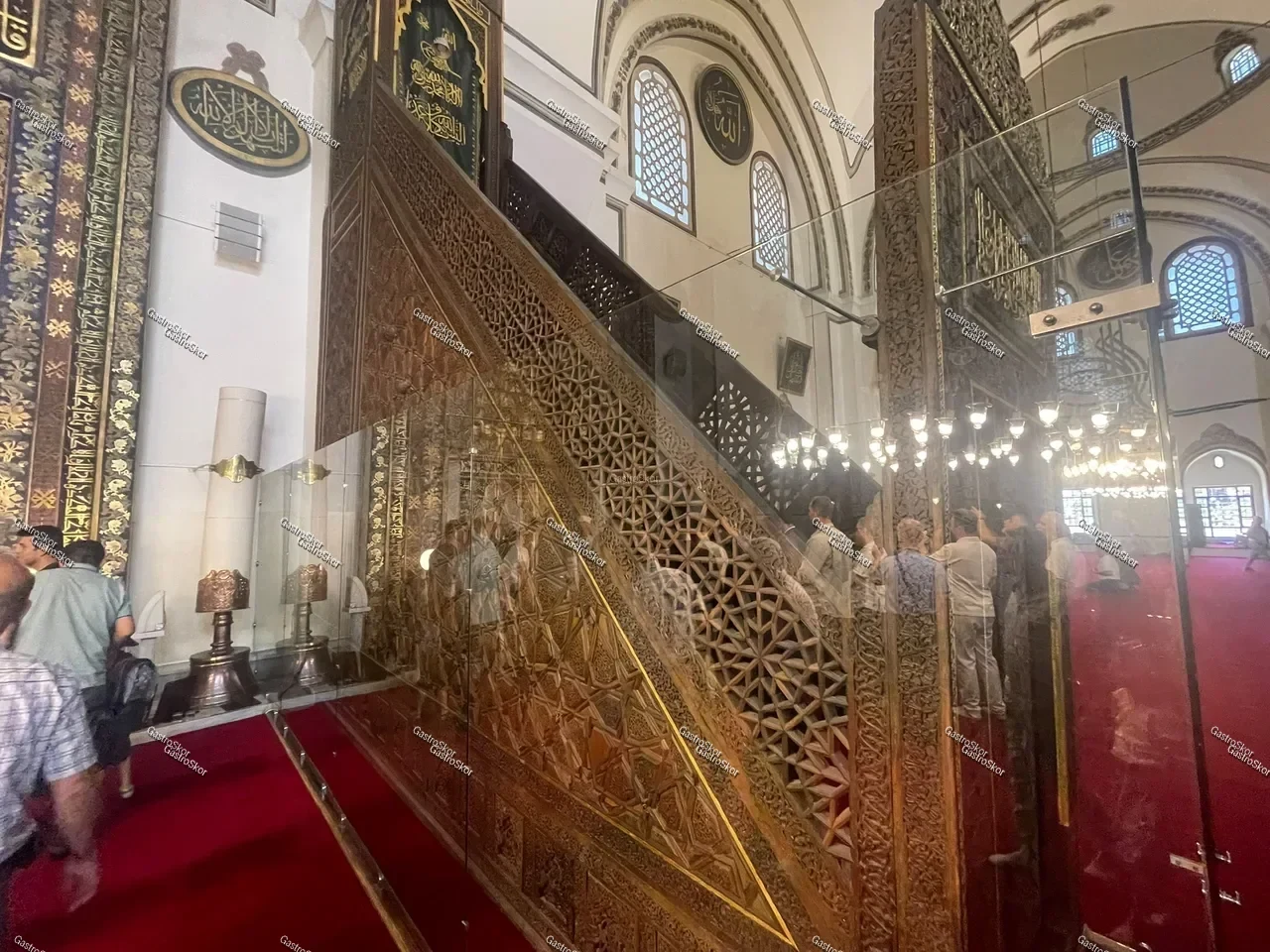 Mantar fotoğrafı