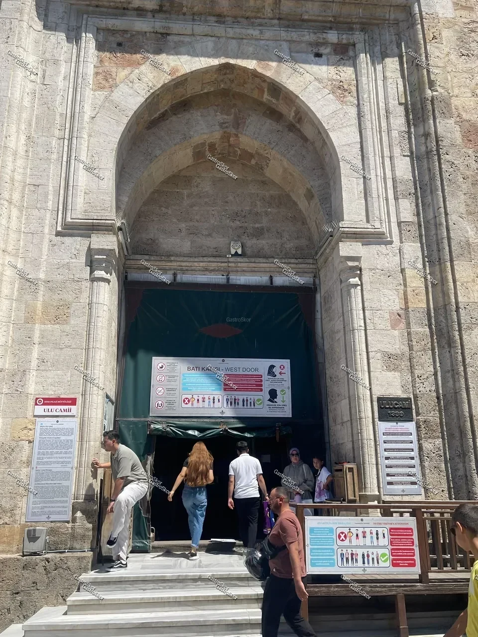 Mantar fotoğrafı