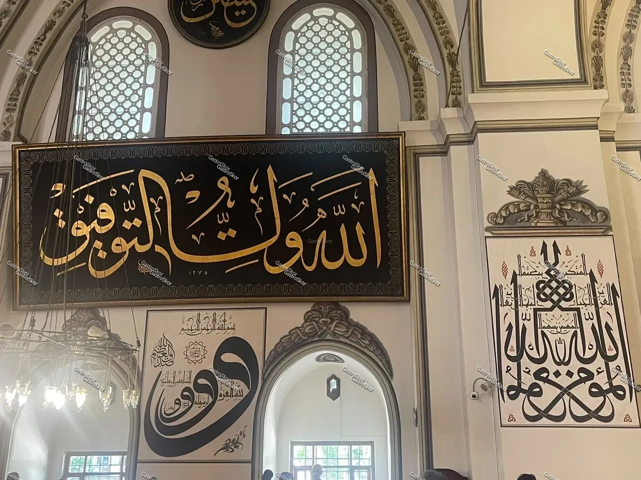 Mantar fotoğrafı