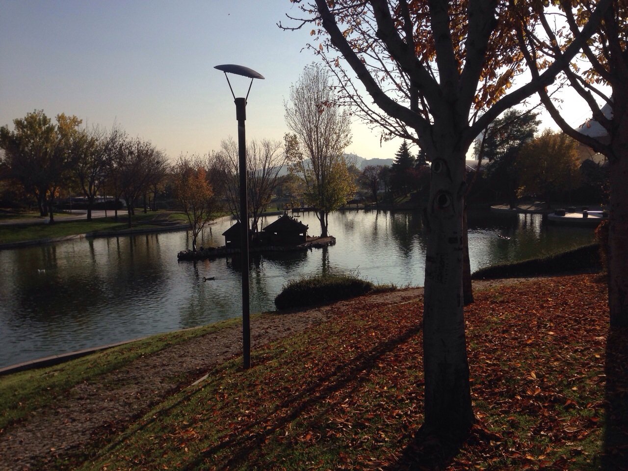 ALTINPARK görseli