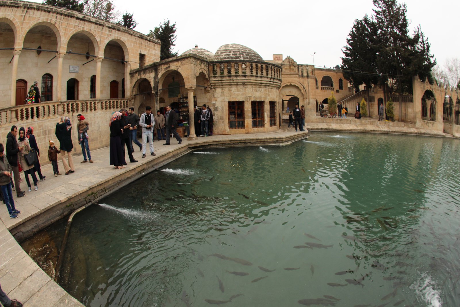 Balıklıgöl, Urfa 2015-14.jpg
