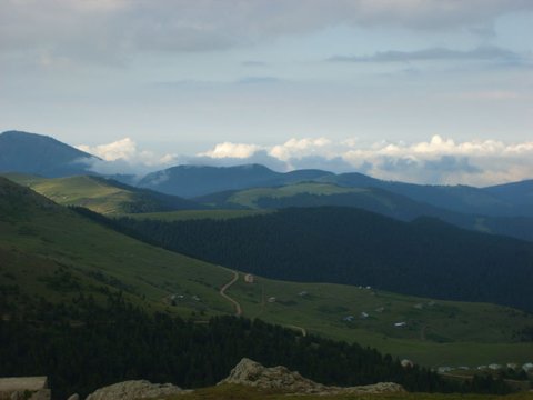 BEKTAŞ YAYLASI