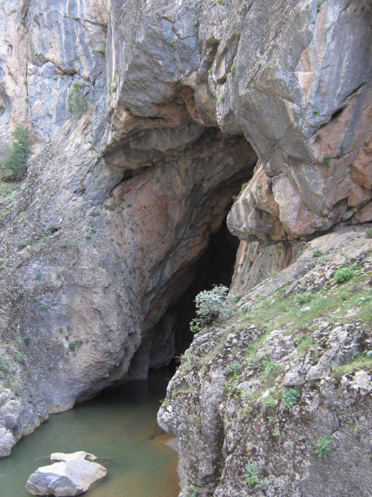 BİRKLEYN MAĞARALARI görseli