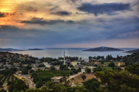 BOĞSAK ISLET