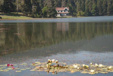 BOLU GÖLCÜK TABİAT PARKI