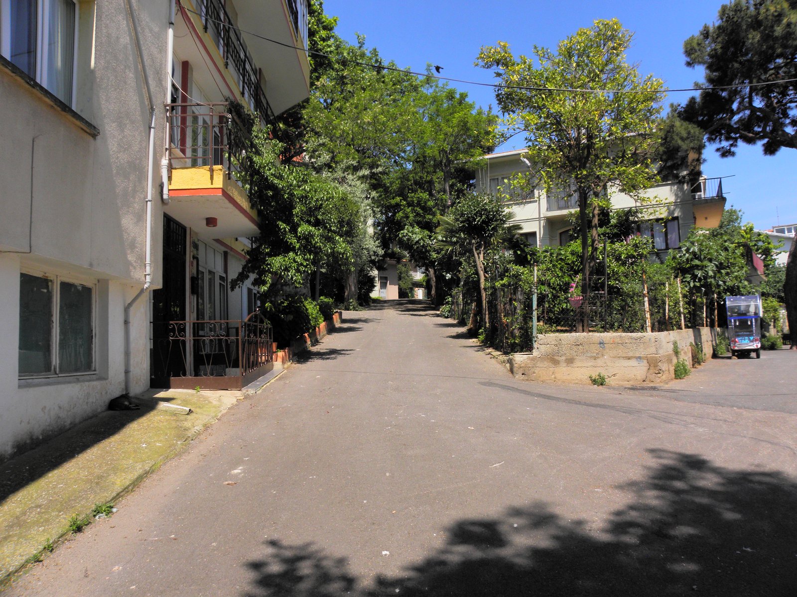 BURGAZADA görseli