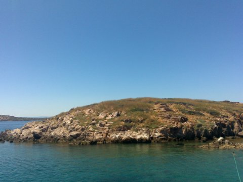 BÜYÜK ILYOSTA ISLAND ADASI