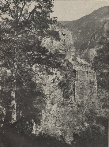 CANCIR YAYLASI
