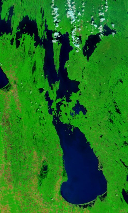 Satellite picture of Lake Manitoba.jpg