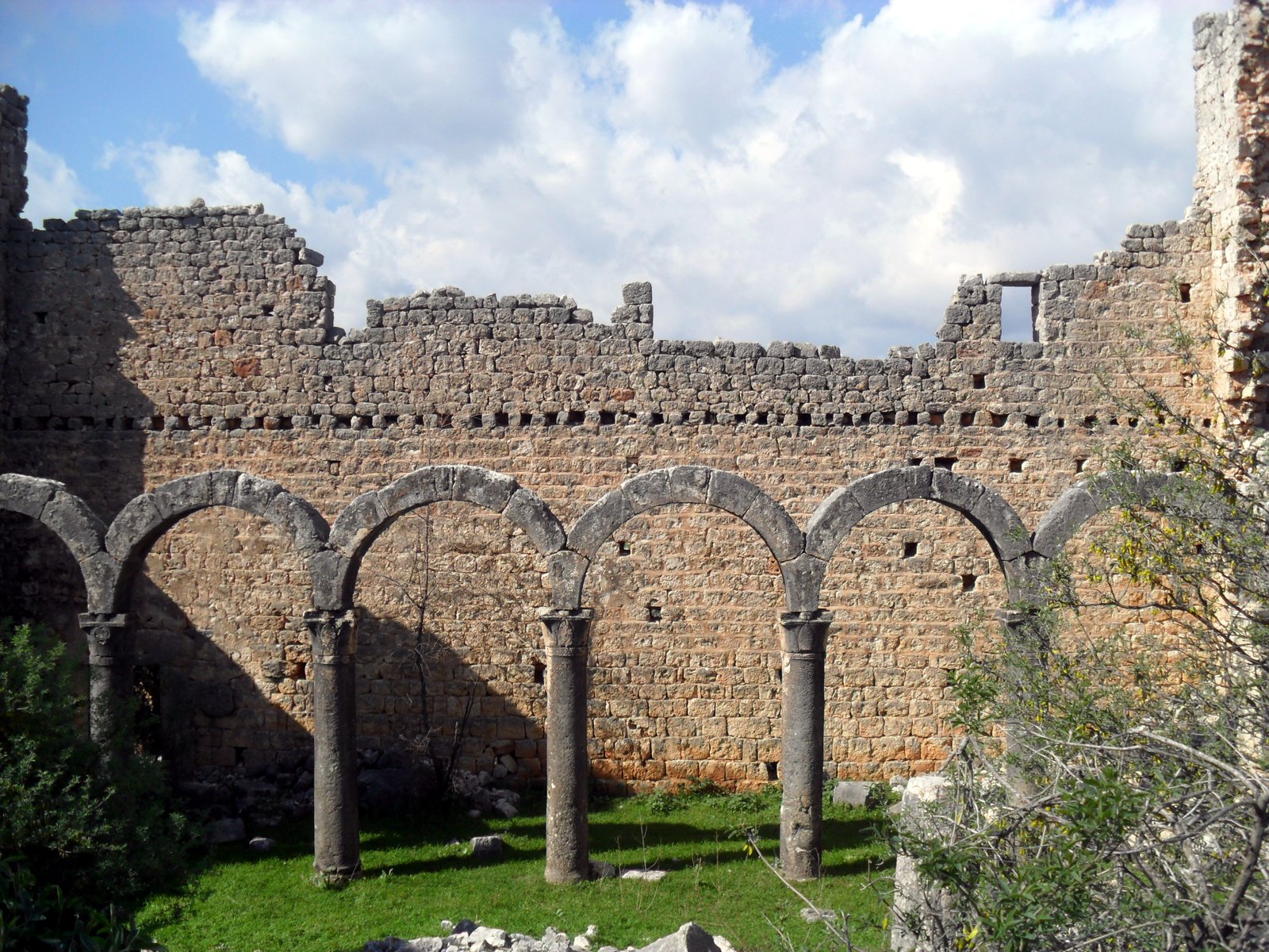 EMİRZELİ / İMİRZELİ görseli