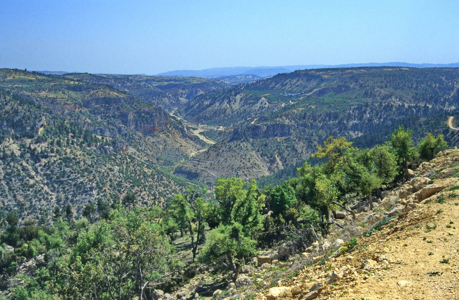 FİSANDON KİLİSE CAMİ görseli
