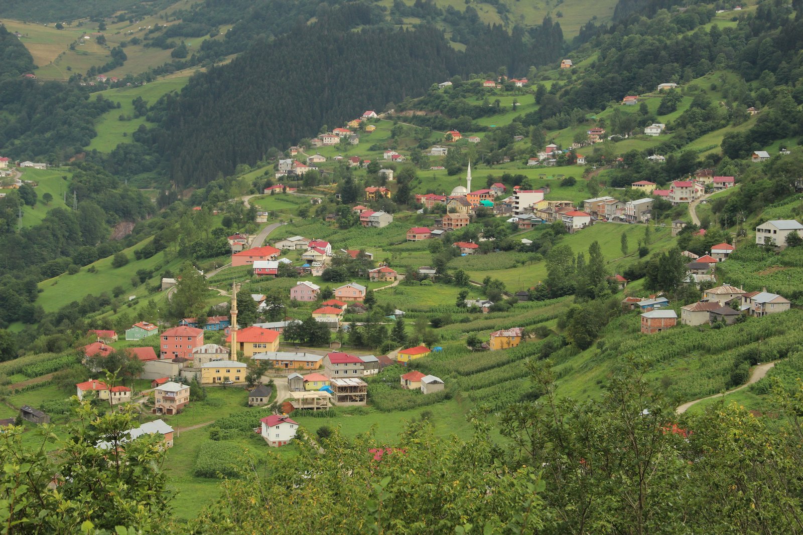 Hamsiköy 2014-2.jpg