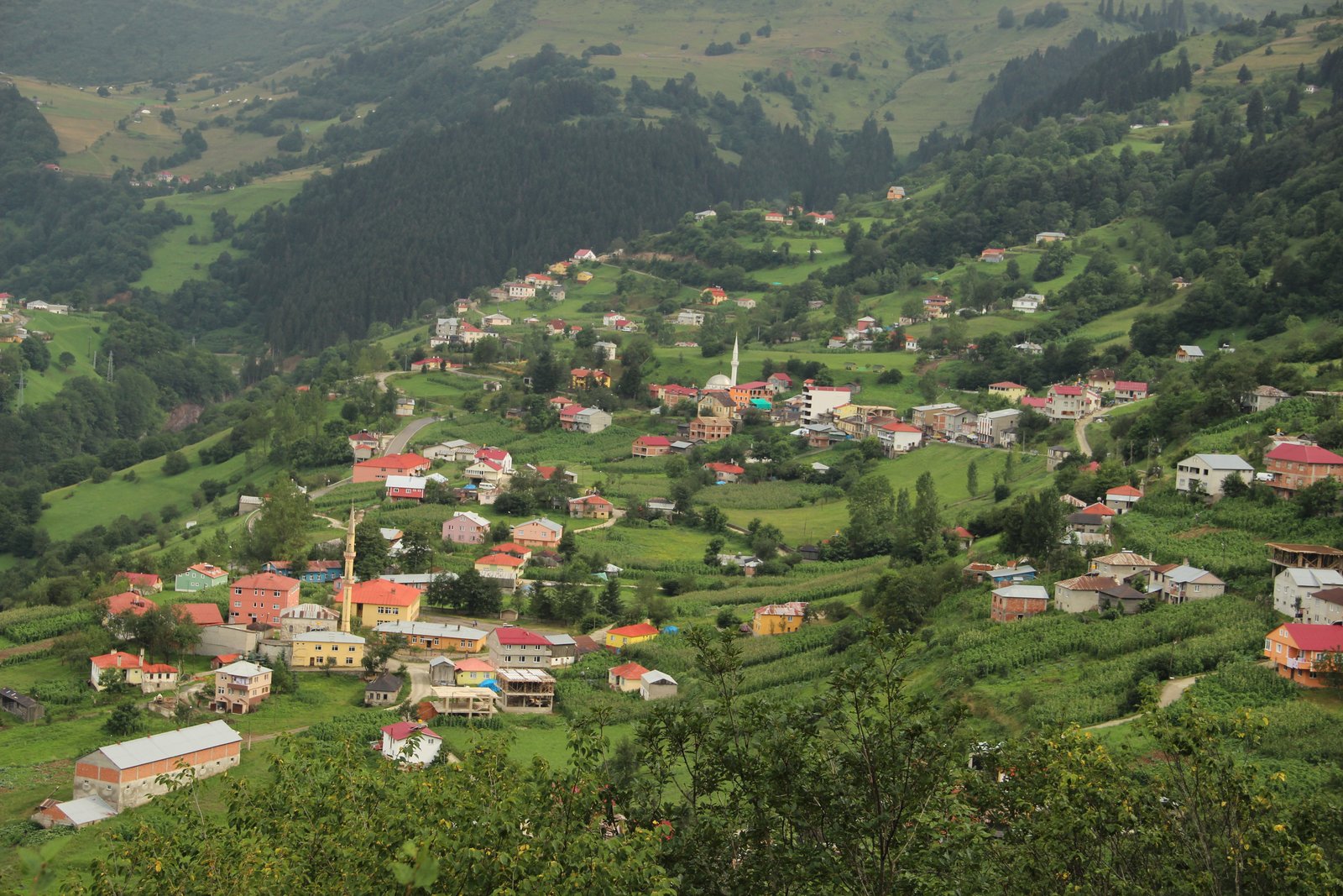 Hamsiköy 2014-4.jpg