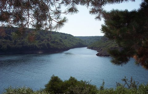 HAMSİLOS TABİAT PARKI