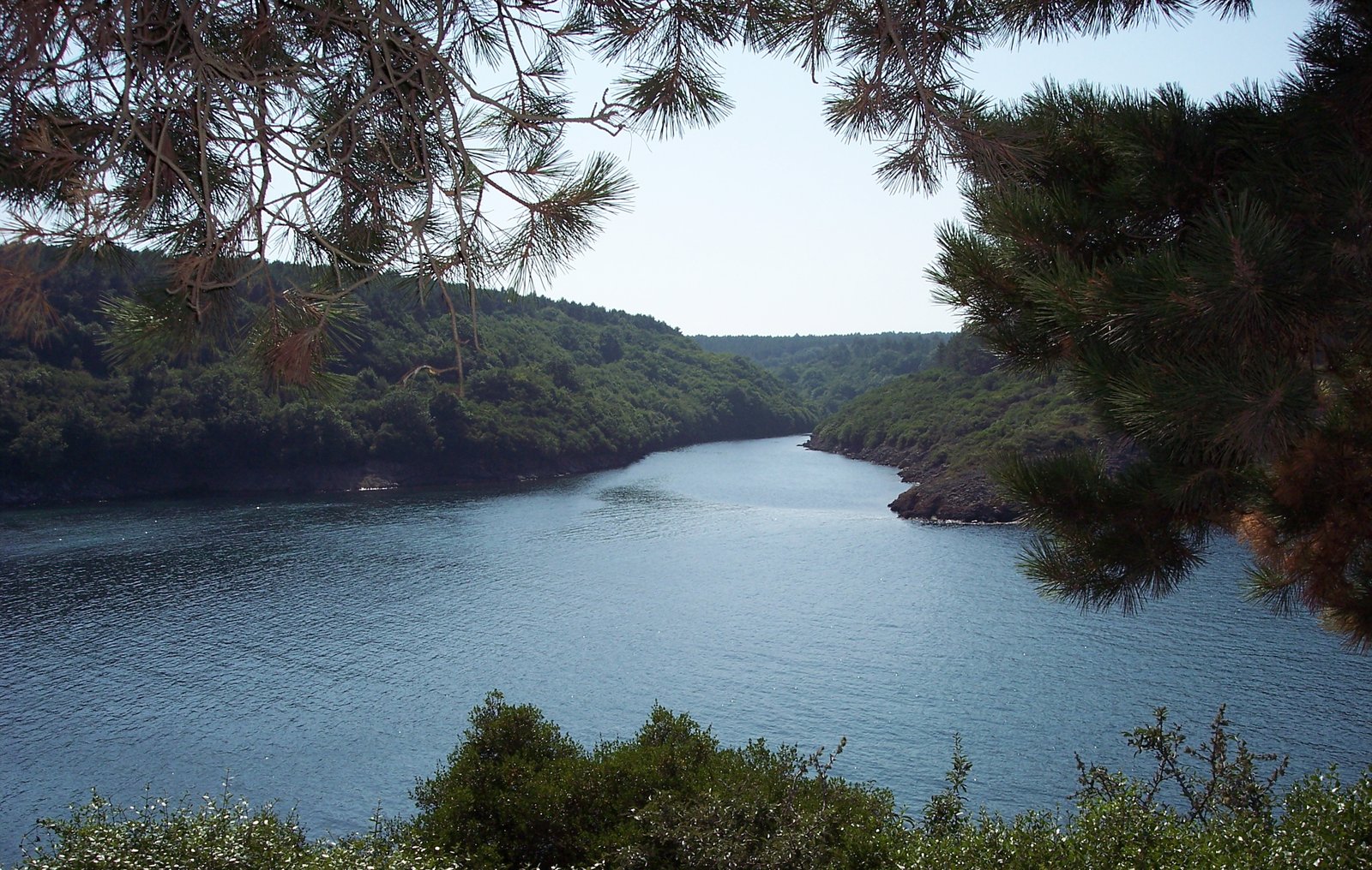 HAMSİLOS TABİAT PARKI görseli