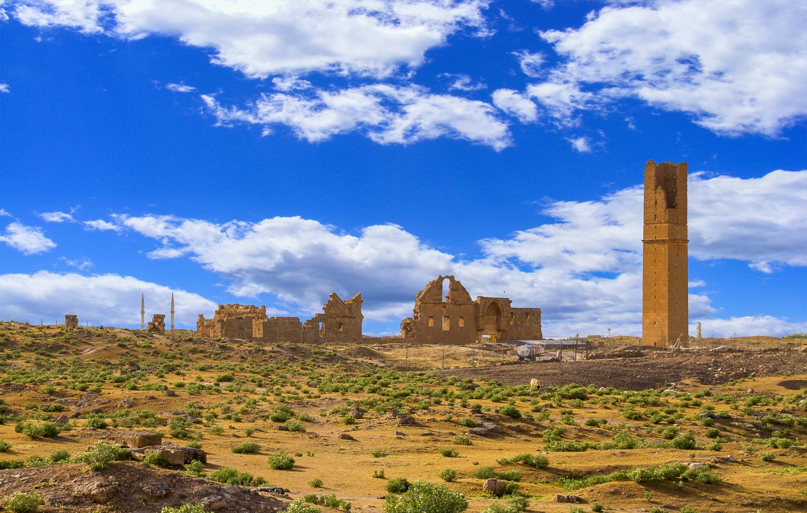 HARRAN ULU CAMİİ görseli