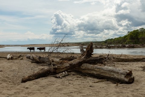 İĞNEADA FLOODPLAIN FORESTS NATIONAL PARK MİLLİ PARKI