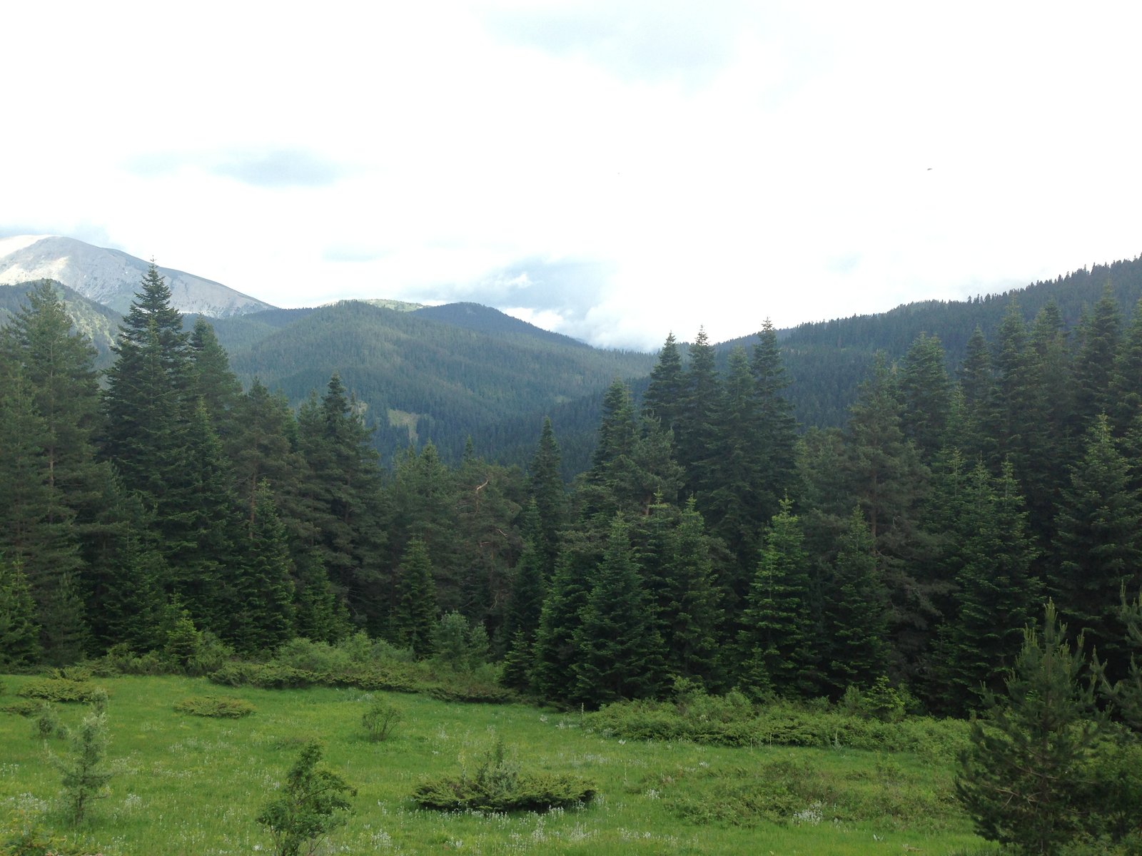 ILGAZ DAĞI MİLLİ PARKI görseli