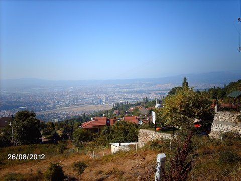 İNKAYA ÇINARI