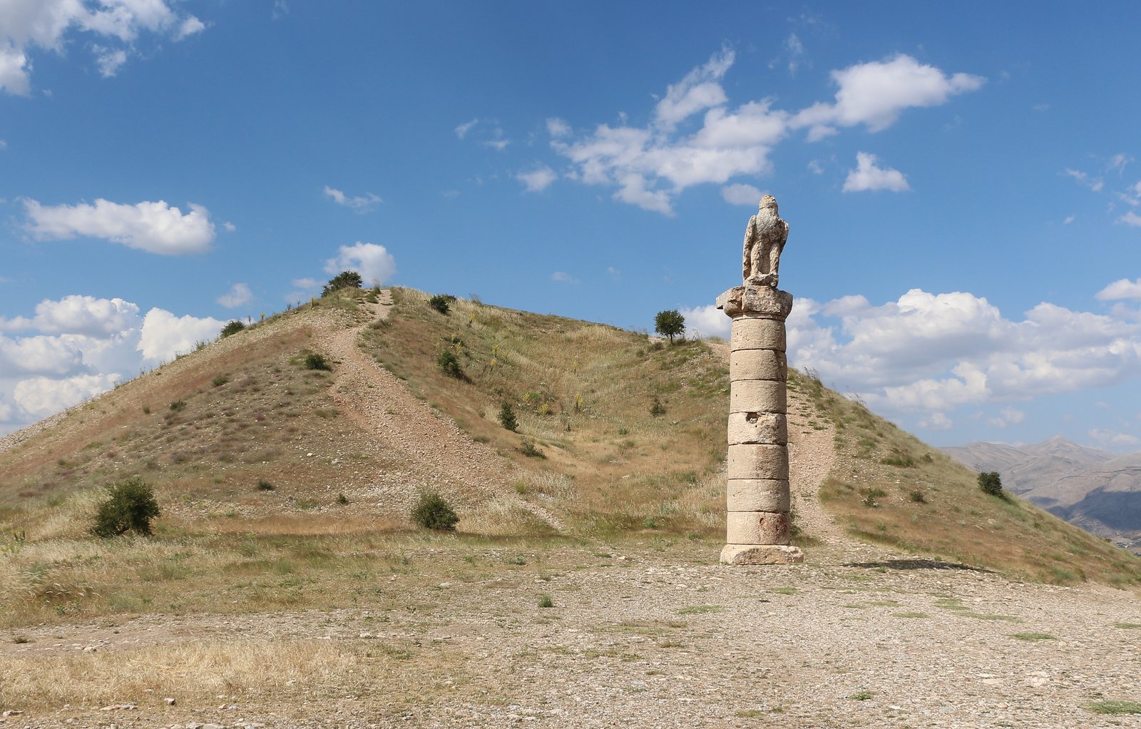 KARAKUŞ TÜMÜLÜSÜ görseli