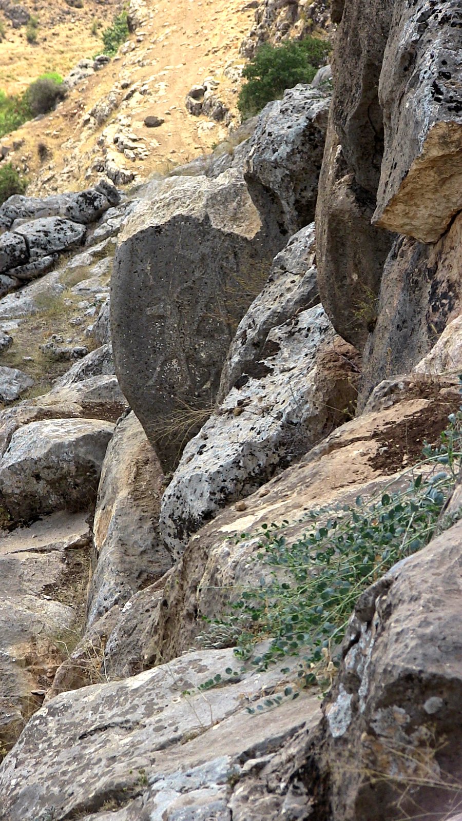 KARASU RELIEF ANTİK KENTİ görseli