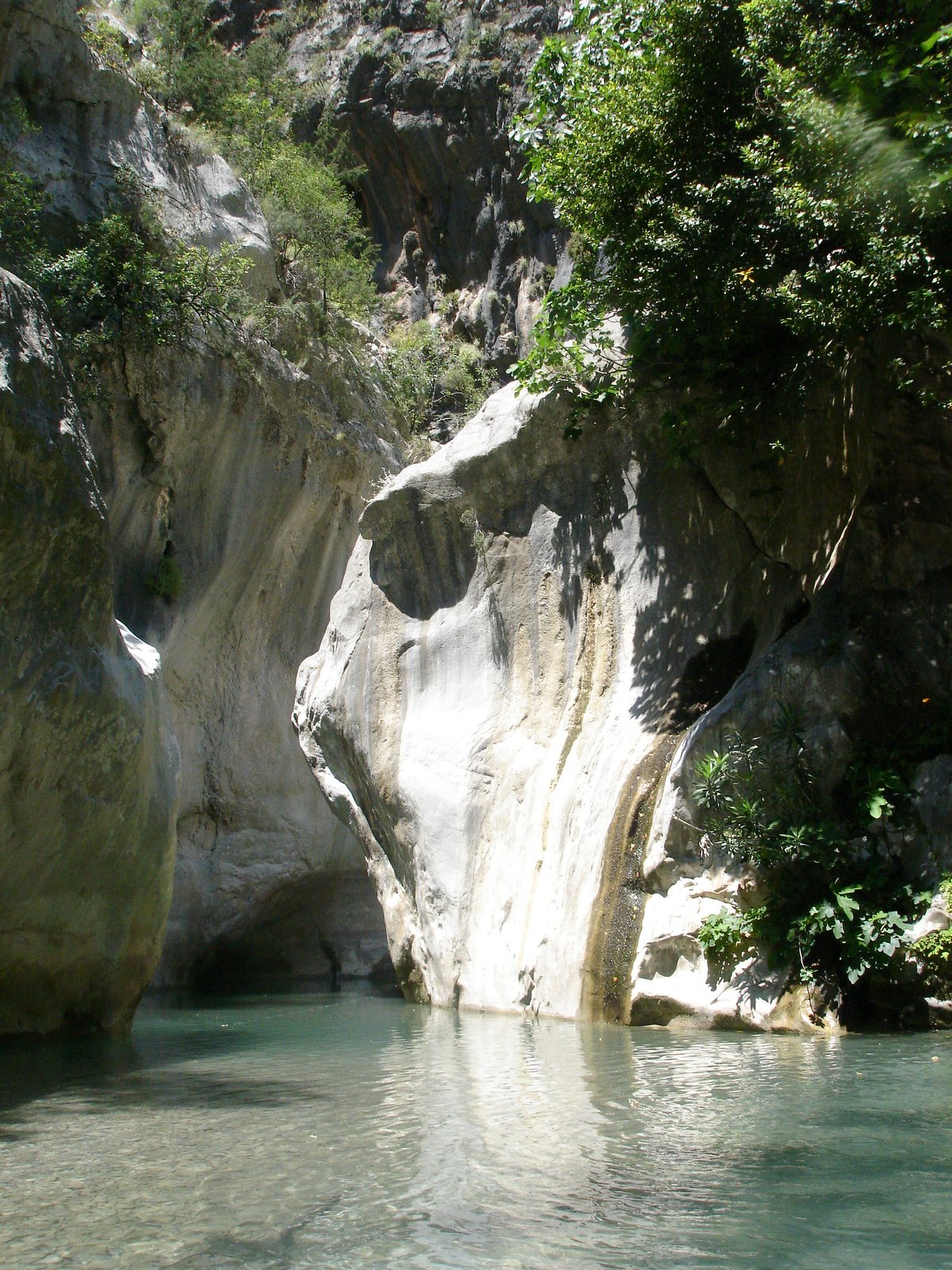 KÖPRÜLÜ KANYON MİLLİ PARKI görseli