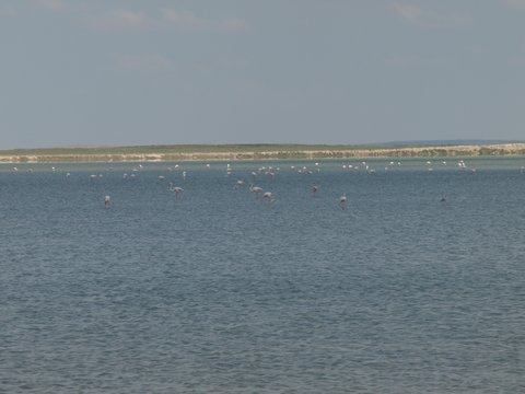 LAKE SEYFE GÖLÜ
