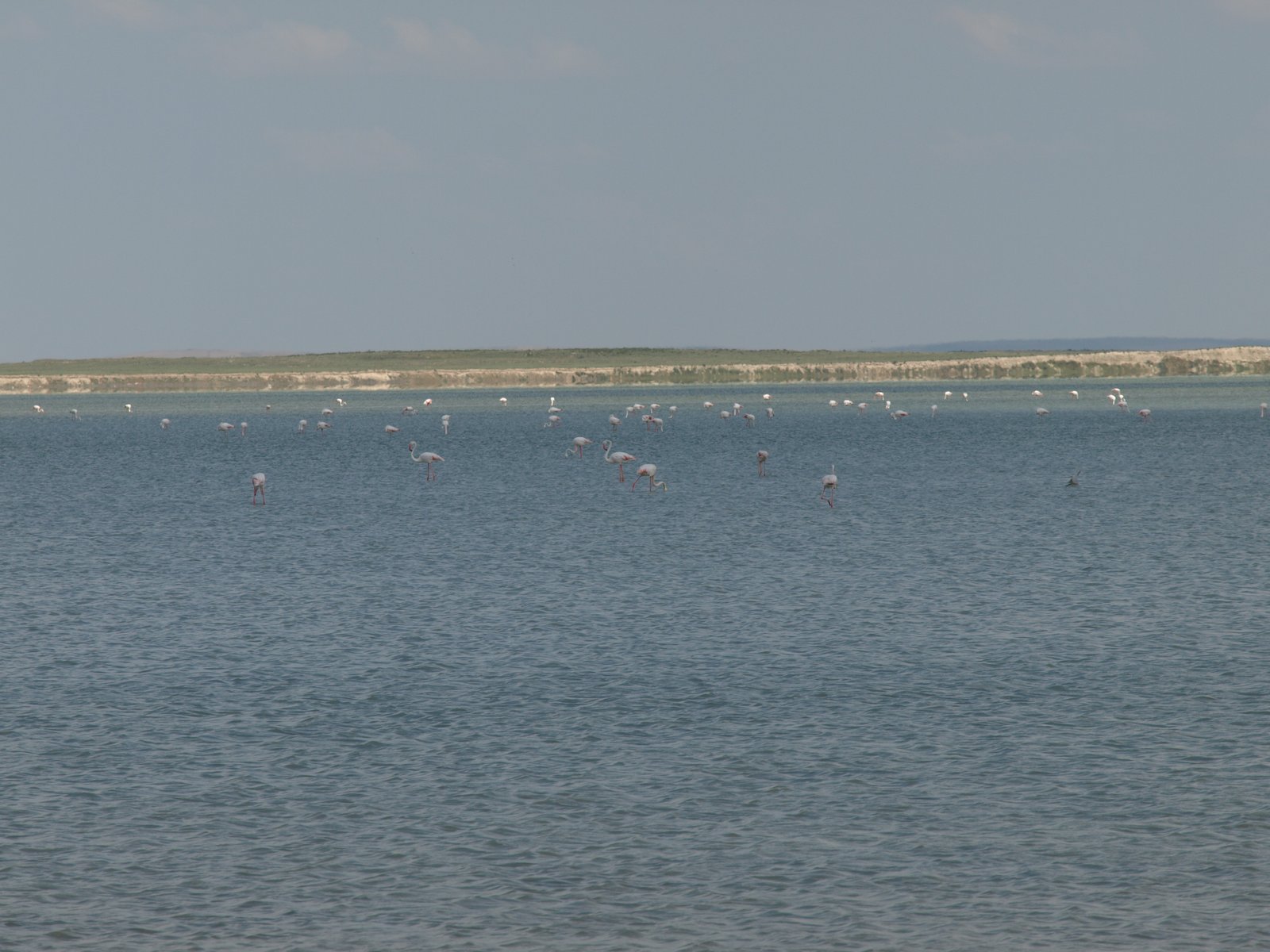 LAKE SEYFE GÖLÜ görseli