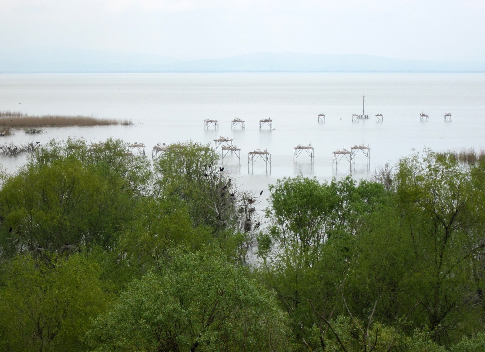 LAKE ULUABAT GÖLÜ görseli